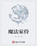 魔法专家