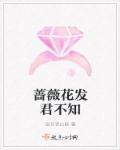 亿万总裁上错灰姑娘的车什么电视剧