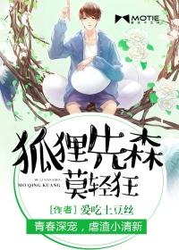 动漫狐狸先生
