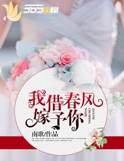我借春风嫁予你夏倾沅