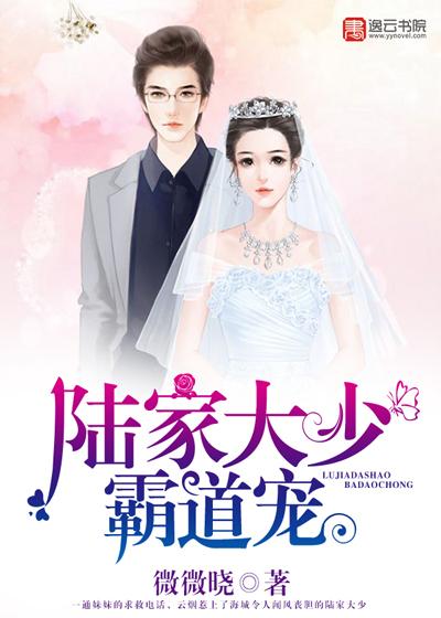 陆家大少爷和景家小姐