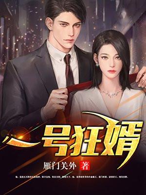 一号狂婿完整版本地