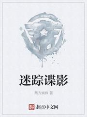 迷踪谍影有声免费收听