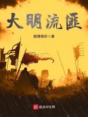 大明流匪TXT免费全本