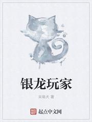 银龙进化百度百科