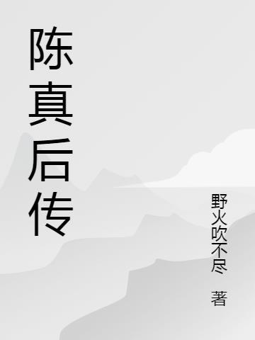 陈真后传30集完整版