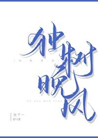独树晚风TXT最新章节更新