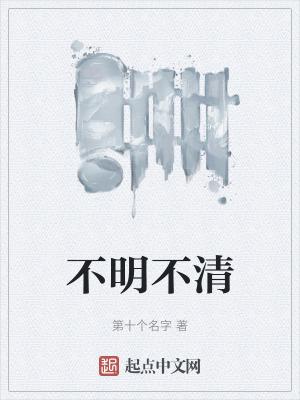 不明不清 阅读