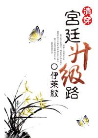 清穿之宫斗计划