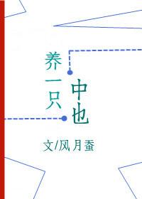 养一只好还是两只好