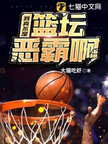 篮坛之我真不是刷子起点