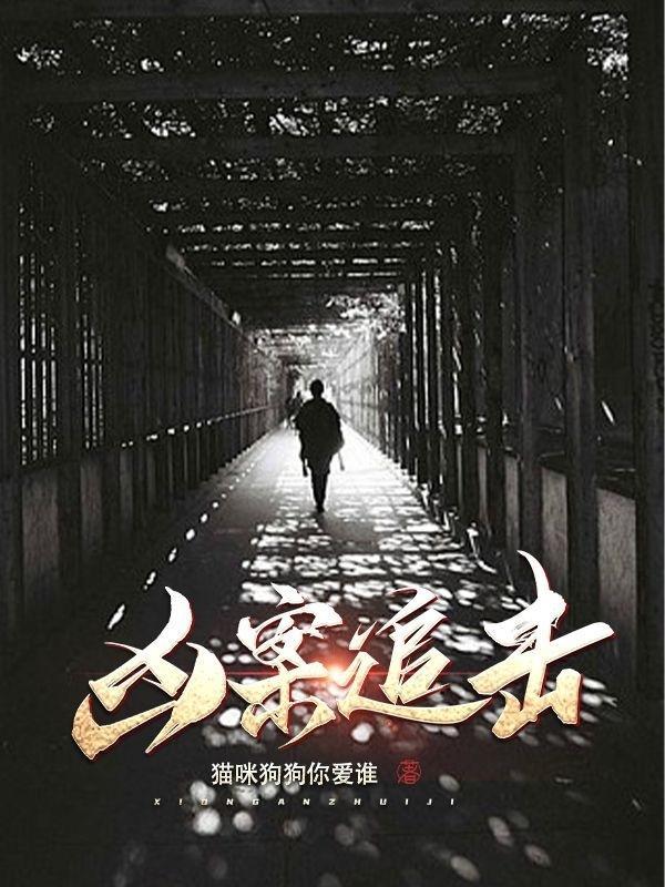 在线阅读凶案追击