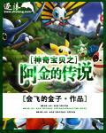 宝可梦特别篇阿金