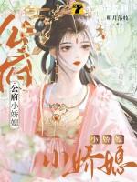 公府娇媳by浅春山讲的什么