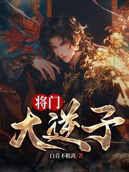 将门大小姐