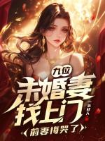 韩风九个未婚妻的