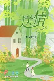 送情哥去南方原唱