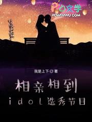 相亲相到idol选秀节目txt