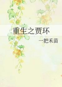 重生贾环文武双全