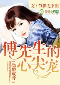 傅先隐婚成爱