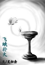 飞蛾扑火歌曲原唱完整版