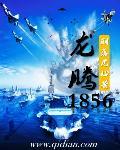 龙腾 jcb