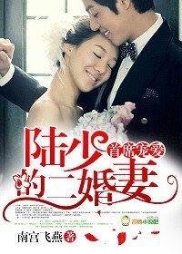 第一婚宠陆少撩妻套路深