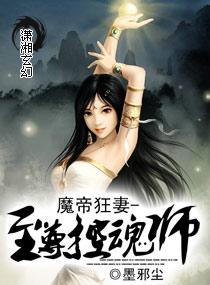 魔帝狂宠妻邂逅