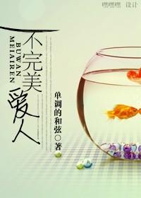 不完美恋人 作者ai呀呀 ...