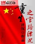 重生之官路浮沉推到几个